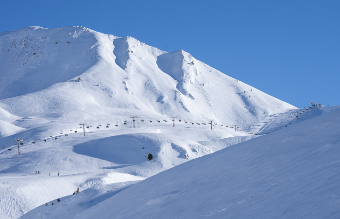 Imagen de la agrupación